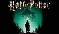 Lorienská akce HARRY POTTER